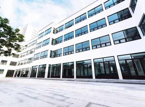 开封市贞元学校国际教育学院 为古城再添优质教育新力量