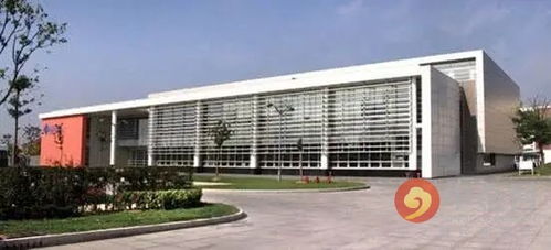 最高一套8000万！国际教育学院旁豪宅抢购现场火爆，戴口罩排队竟引冲突